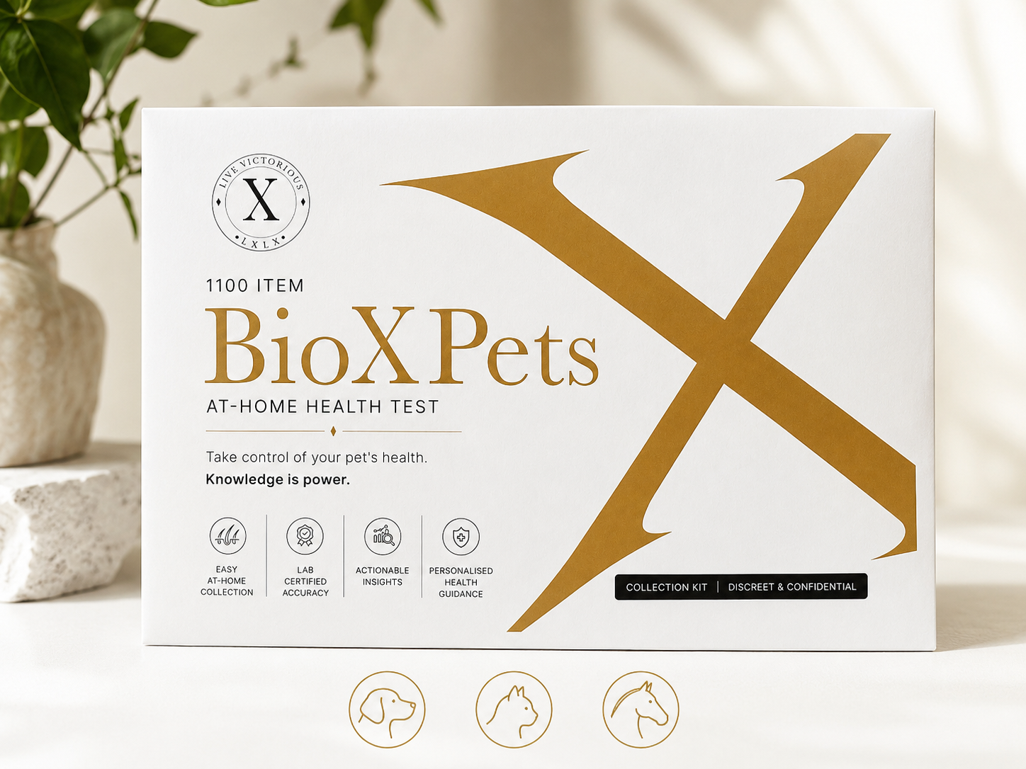 The existing gold-and-white BioX Pets collection-kit image.