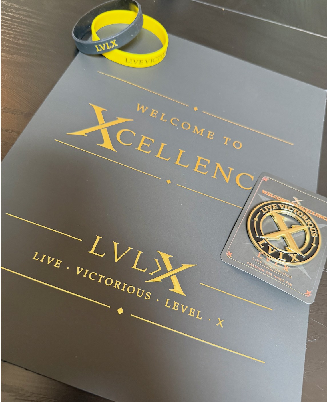 Existing LVLX Welcome to Xcellence partner materials.
